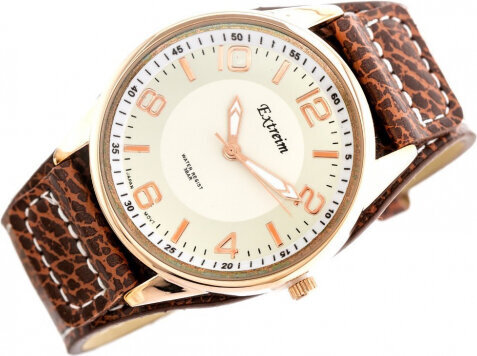 Laikrodis vyrams Extreim EXT-Y017A-4A цена и информация | Vyriški laikrodžiai | pigu.lt