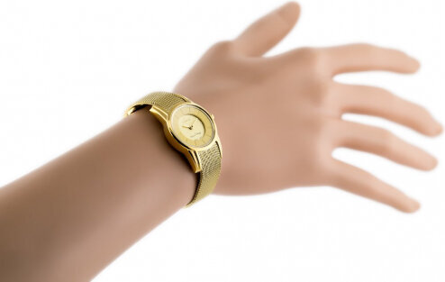 Laikrodis moterims G. Rossi 11920B-4D1 kaina ir informacija | Moteriški laikrodžiai | pigu.lt