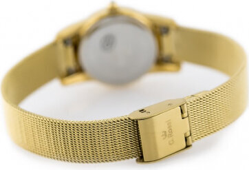 Laikrodis moterims G. Rossi 11920B-4D1 kaina ir informacija | Moteriški laikrodžiai | pigu.lt