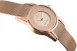 Laikrodis moterims G. Rossi 11920B-4D2 цена и информация | Moteriški laikrodžiai | pigu.lt