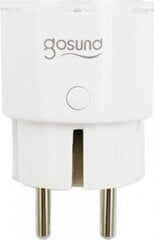 Gosund | NiteBird Умная розетка WiFi Gosund SP111 3680W 16A, Туя цена и информация | Выключатели, розетки | pigu.lt