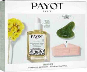 Rinkinys Payot Launch Box Herbier: plaukų juosta + Gua Sha + veido aliejus kaina ir informacija | Veido kremai | pigu.lt