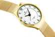 Perfect WOMEN&#39;S WATCH F101-2 (zp873b) gold F101-2 kaina ir informacija | Moteriški laikrodžiai | pigu.lt