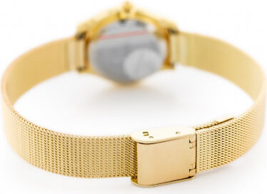 Perfect WOMEN&#39;S WATCH F101-2 (zp873b) gold F101-2 kaina ir informacija | Moteriški laikrodžiai | pigu.lt