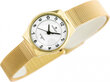 Perfect WOMEN&#39;S WATCH F101-2 (zp873b) gold F101-2 kaina ir informacija | Moteriški laikrodžiai | pigu.lt