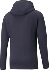 Džemperis vyrams Puma, mėlynas kaina ir informacija | Sportinė apranga vyrams | pigu.lt