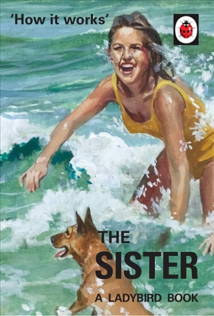 How it Works: The Sister kaina ir informacija | Fantastinės, mistinės knygos | pigu.lt