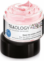 Drėkinamasis dieninis veido kremas su persikų arbata Teaology Peach Tea Moisturising Cream, 50 ml kaina ir informacija | Veido kremai | pigu.lt
