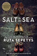 Salt to the Sea цена и информация | Книги для подростков и молодежи | pigu.lt