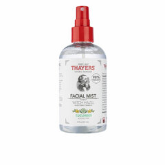 Veido dulksna Thayers Facial Mist Cucumber, 237ml kaina ir informacija | Veido prausikliai, valikliai | pigu.lt