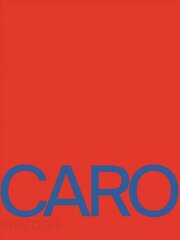 Anthony Caro цена и информация | Книги об искусстве | pigu.lt