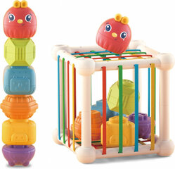 Rūšiuoklis Woopie Flexible Sensory Cube Sorter for Children + Rattle, 7 dalys kaina ir informacija | Lavinamieji žaislai | pigu.lt