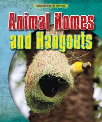 Animal Homes and Hang-outs цена и информация | Книги для подростков и молодежи | pigu.lt