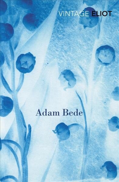 Adam Bede цена и информация | Fantastinės, mistinės knygos | pigu.lt