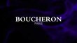 Kvapusis vanduo Boucheron Jaipur Pour Homme EDP vyrams 100 ml kaina ir informacija | Kvepalai vyrams | pigu.lt