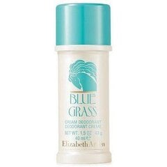 Pieštukinis dezodorantas Elizabeth Arden Blue Grass moterims, 40 ml kaina ir informacija | Parfumuota kosmetika moterims | pigu.lt