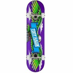 Riedlentė Tony Hawk, 78cm kaina ir informacija | Riedlentės | pigu.lt