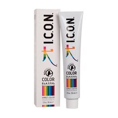 Plaukų dažai i.c.o.n., Acid green, 90 ml цена и информация | Краска для волос | pigu.lt
