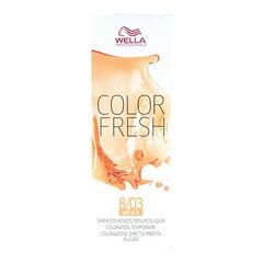 Pusiau ilgalaikiai plaukų dažai Color Fresh Wella Nº 8/03, 75 ml kaina ir informacija | Plaukų dažai | pigu.lt