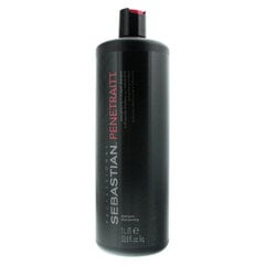 Восстанавливающий шампунь для волос Sebastian Professional Penetraitt 1000 мл цена и информация | Шампуни | pigu.lt