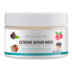 Plaukų kaukė Alma Secret Extreme Repair 250 ml цена и информация | Средства для укрепления волос | pigu.lt