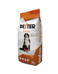 Rex Dexter Balance, 20 kg kaina ir informacija | Sausas maistas šunims | pigu.lt