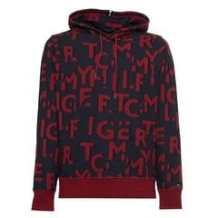 Мужской джемпер Tommy Hilfiger 8720115364201, Синий цена и информация | Мужские толстовки | pigu.lt