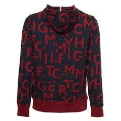 Мужской джемпер Tommy Hilfiger 8720115364201, Синий цена и информация | Мужские толстовки | pigu.lt