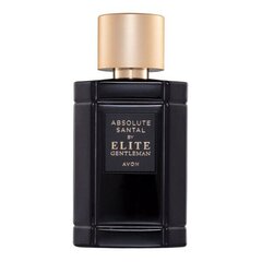 Tualetinis vanduo Elite Gentleman Absolute Santal EDT, vyrams 50 ml kaina ir informacija | Kvepalai vyrams | pigu.lt