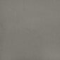 vidaXL Lova su spyruoklėmis ir čiužiniu, pilka, 90x200 cm, aksomas kaina ir informacija | Lovos | pigu.lt