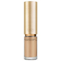 Основа макияжа Juvena Rejuvenate &amp; Correct Tinted Fluid Bronze SPF10 50 мл цена и информация | Пудры, базы под макияж | pigu.lt