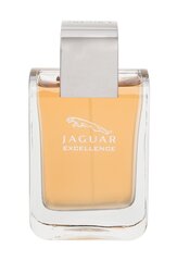 Tualetinis vanduo Jaguar Excellence EDT vyrams 100 ml kaina ir informacija | Kvepalai vyrams | pigu.lt