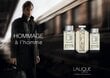 Tualetinis vanduo Lalique Hommage a L´Homme EDT vyrams 50 ml kaina ir informacija | Kvepalai vyrams | pigu.lt