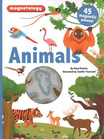 Magnetology: Animals kaina ir informacija | Knygos mažiesiems | pigu.lt