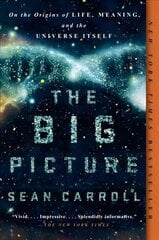 Big Picture: On the Origins of Life, Meaning, and the Universe Itself цена и информация | Книги по экономике | pigu.lt