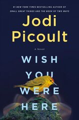Wish You Were Here: A Novel kaina ir informacija | Fantastinės, mistinės knygos | pigu.lt