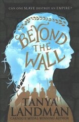 Beyond the Wall цена и информация | Книги для подростков  | pigu.lt