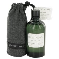 Мужская парфюмерия Geoffrey Beene Grey Flannel EDT (120 ml) цена и информация | Мужские духи | pigu.lt