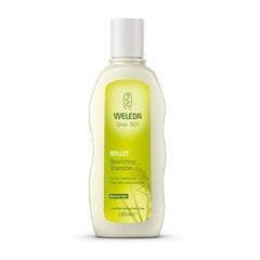 Maitinamasis šampūnas Weleda Millet Nourishing Shampoo, 190 ml kaina ir informacija | Weleda Plaukų priežiūrai | pigu.lt