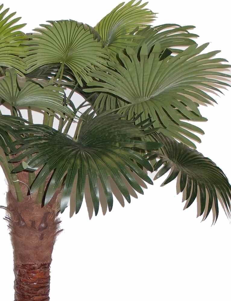Dirbtinis augalas Palmė 200cm цена и информация | Dirbtinės gėlės | pigu.lt