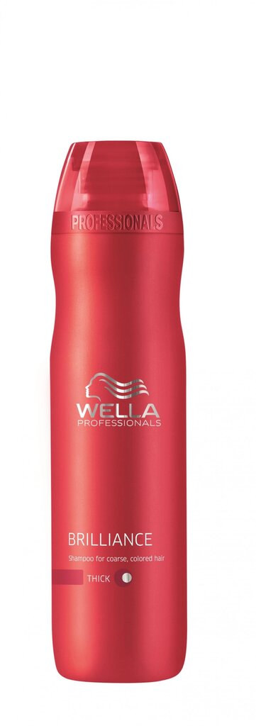 Žvilgesio plaukams suteikiantis šampūnas Wella Professionals Brilliance 250 ml kaina ir informacija | Šampūnai | pigu.lt