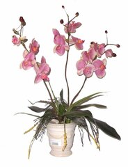 Dirbtinė gėlė Orchidėja 70cm kaina ir informacija | Dirbtinės gėlės | pigu.lt