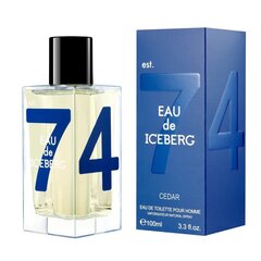 Tualetinis vanduo Iceberg Eau de Iceberg Cedar EDT vyrams 100 ml kaina ir informacija | Kvepalai vyrams | pigu.lt