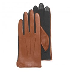 Кожаные перчатки цена и информация | Женские перчатки | pigu.lt