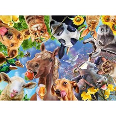 Dėlionė Ravensburger Funny Animals, 200 d. kaina ir informacija | Dėlionės (puzzle) | pigu.lt