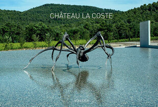 Chateau Lacoste kaina ir informacija | Apsakymai, novelės | pigu.lt