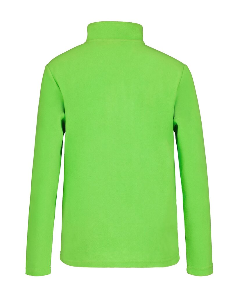 Džemperis berniukams Icepeak 51841-2*540, žalias kaina ir informacija | Megztiniai, bluzonai, švarkai berniukams | pigu.lt