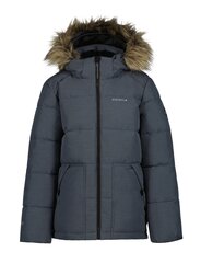 Striukė berniukams Icepeak 300g Kenner 50009-2*270, pilka kaina ir informacija | Striukės berniukams | pigu.lt