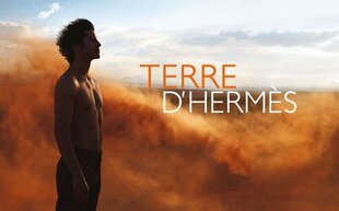 Hermes Terre D Hermes для мужчин 100 мл цена и информация | Мужская парфюмированная косметика | pigu.lt