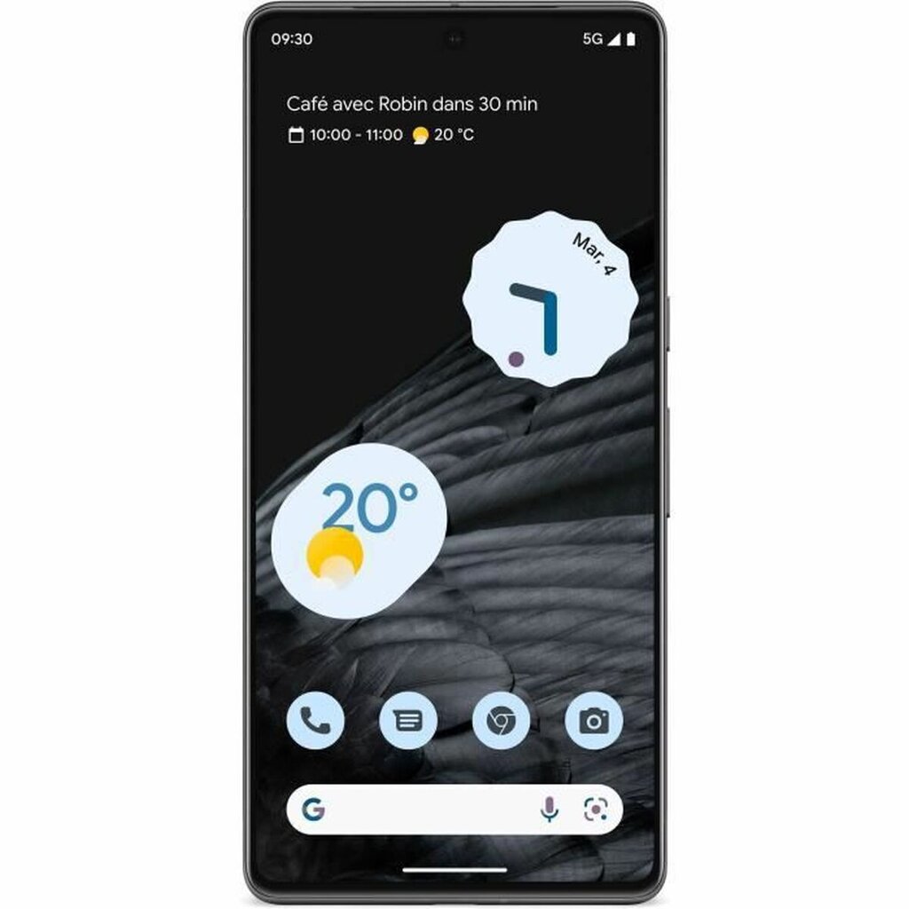 Google Pixel 7 Pro 5G 12/128GB GA03462-GB Black цена и информация | Mobilieji telefonai | pigu.lt